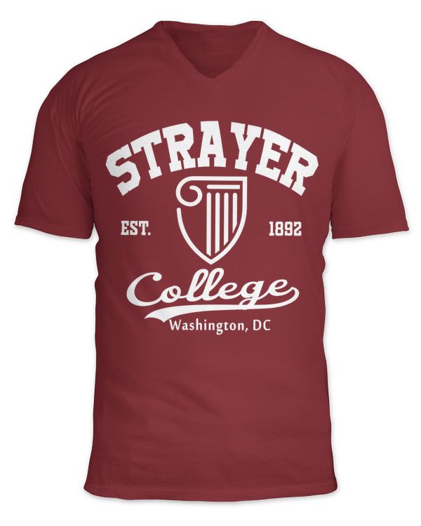 Unisex Jersey SS V-Neck T-Shirt