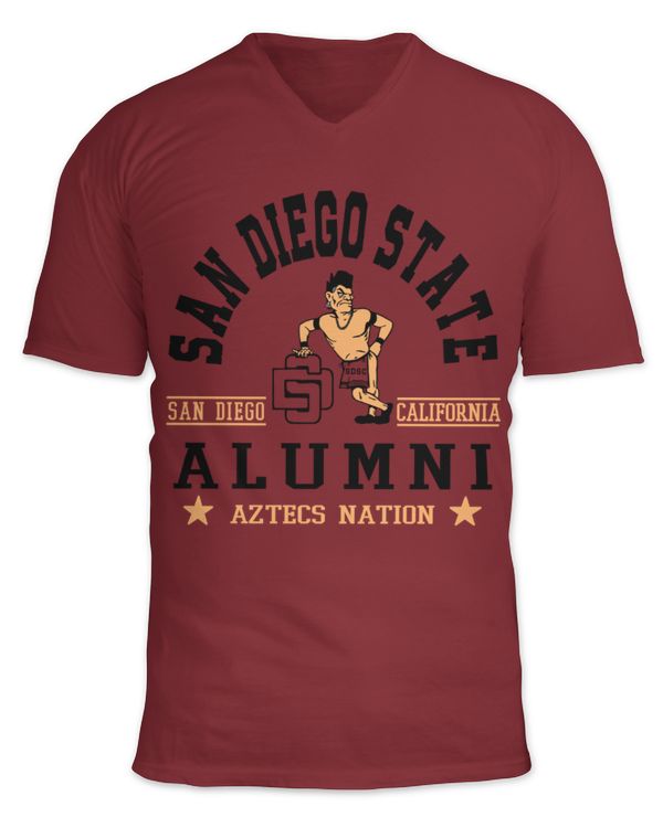 Unisex Jersey SS V-Neck T-Shirt