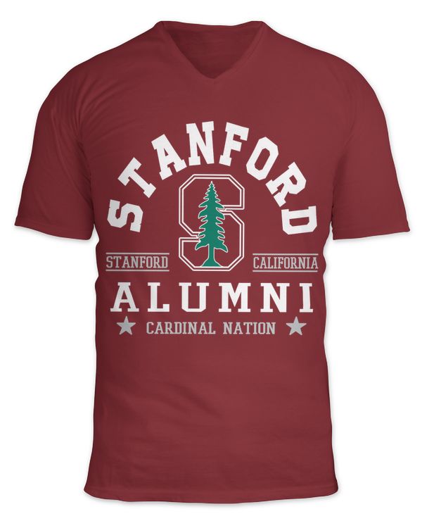 Unisex Jersey SS V-Neck T-Shirt
