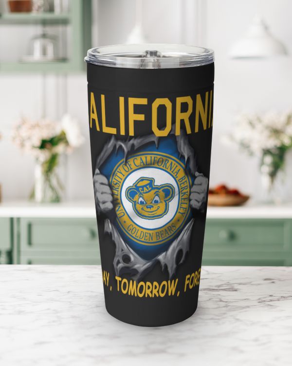 Viking Tumbler (20oz)