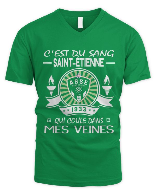 Men's V-Neck T-Shirt