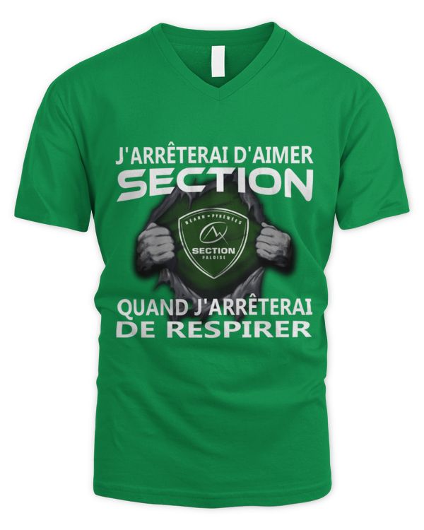 Men's V-Neck T-Shirt
