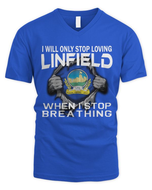 Men's V-Neck T-Shirt