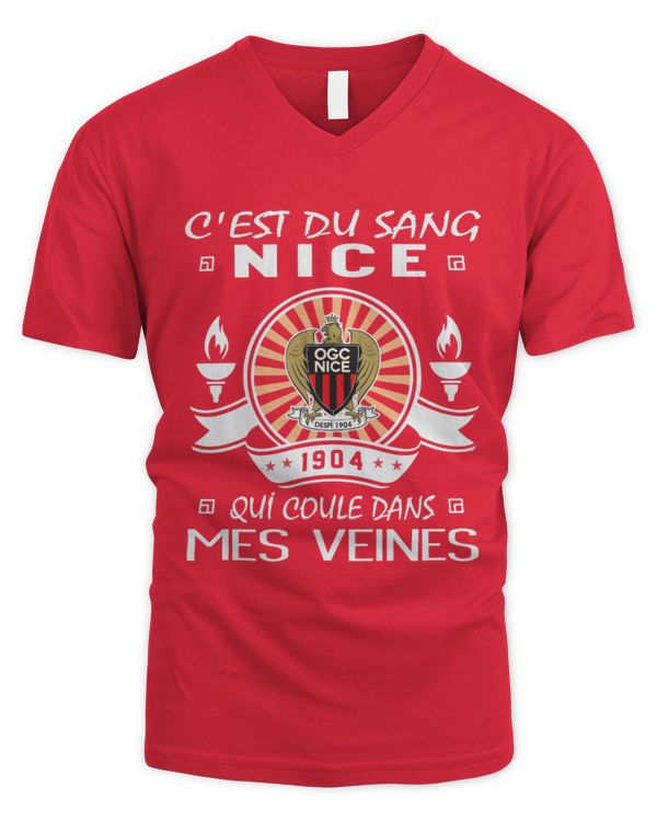 Men's V-Neck T-Shirt