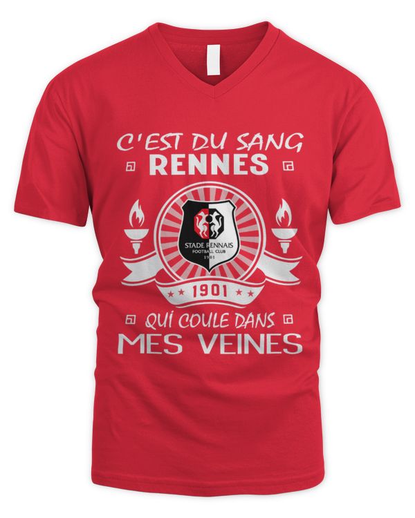 Men's V-Neck T-Shirt