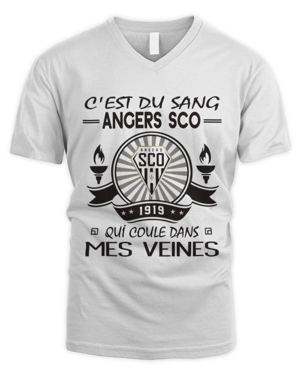Men's V-Neck T-Shirt